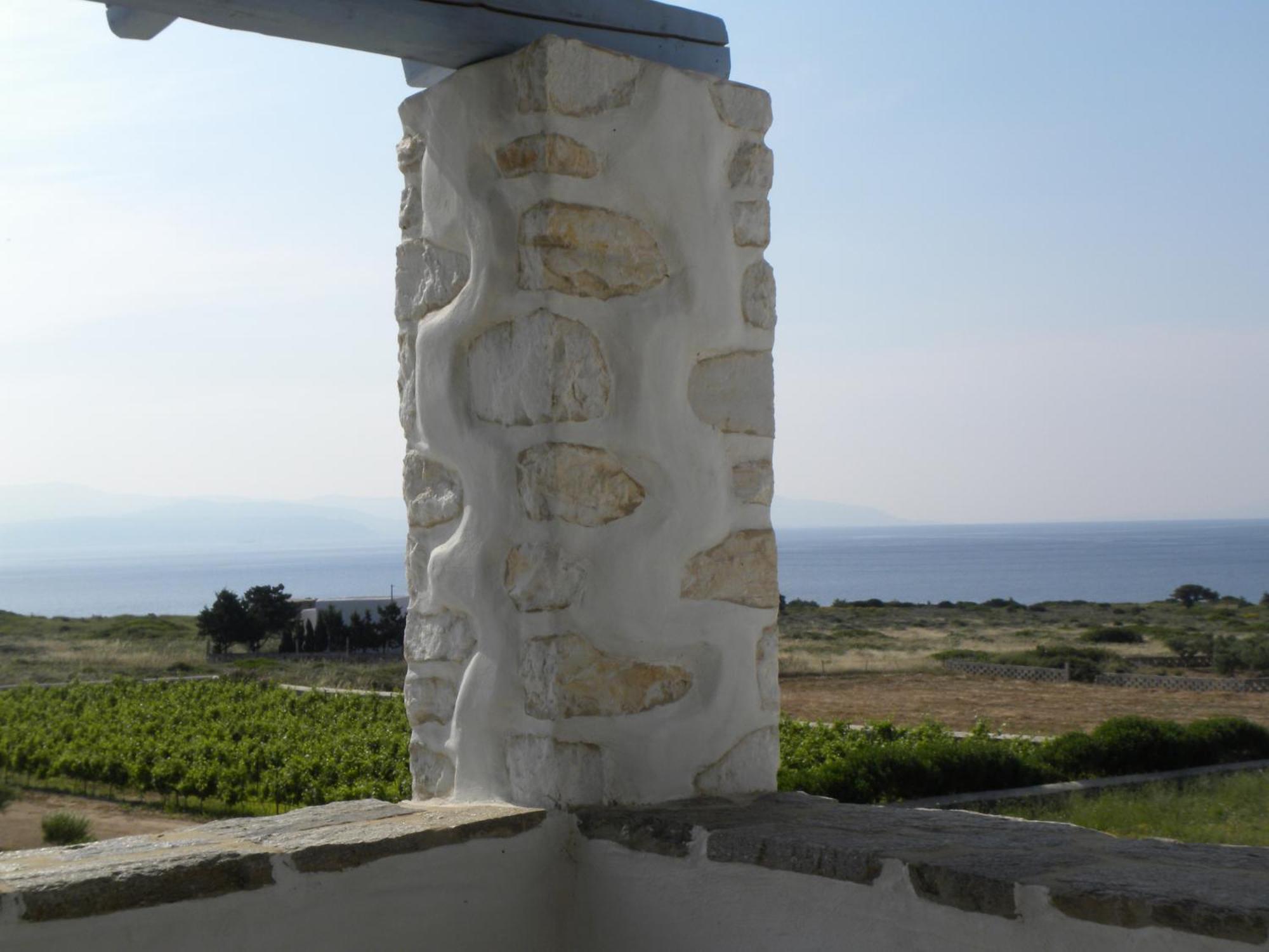 Villa Petradi  Ambelas Rum bild